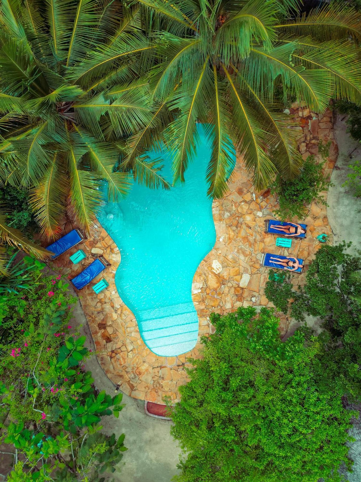 Demani Lodge Zanzibar Paje Ngoại thất bức ảnh